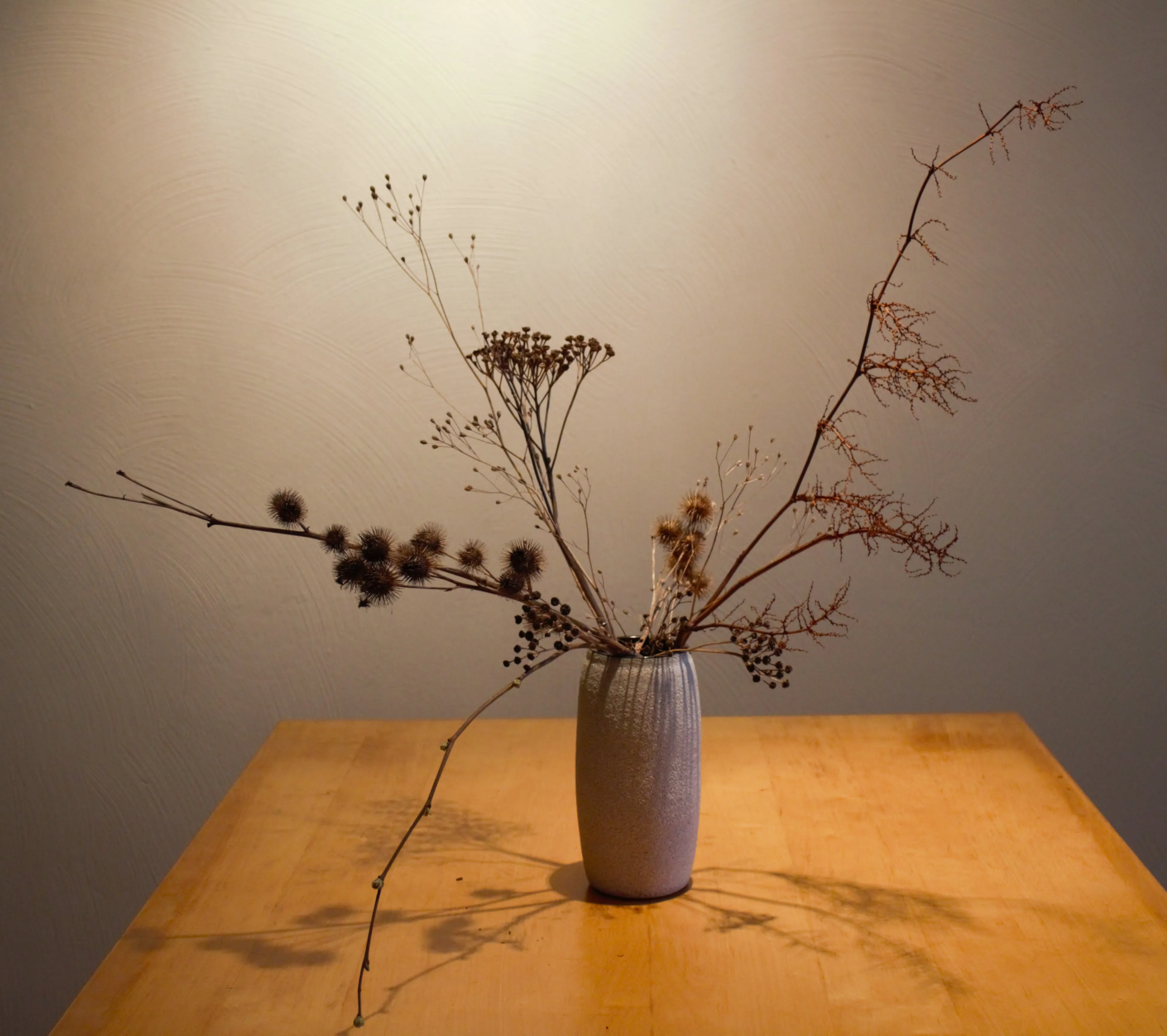 dried things of beginning winter.